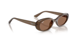 Rayban 0RB4441D 677973 53 Unisex Günes Gözlük