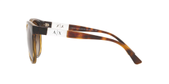 Armani Exchance 0AX4120S 821313 54 Kadın Güneş Gözlüğü