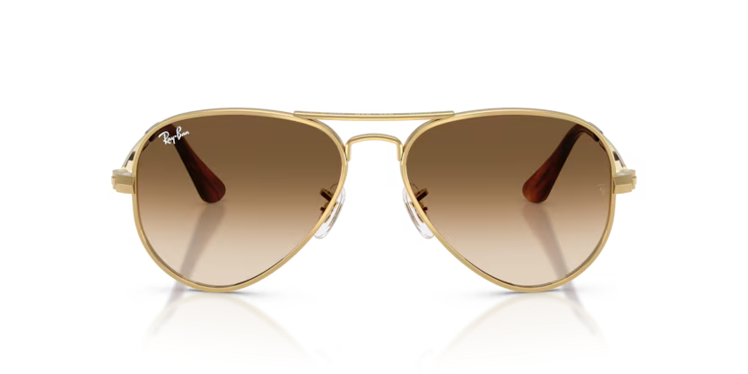 Rayban RB3925 001/51 62-145 Unisex Günes Gözlük