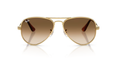 Rayban RB3925 001/51 62-145 Unisex Günes Gözlük