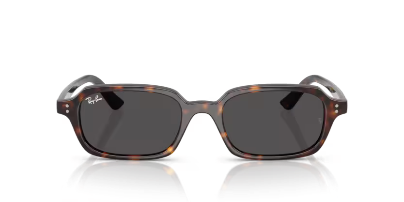 Rayban 4455 135987 52 Unisex Günes Gözlük