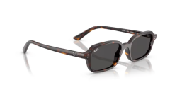 Rayban 4455 135987 52 Unisex Günes Gözlük