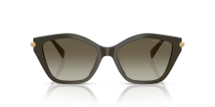 Michael Kors 2246U 40193M 54 Kadin Günes Gözlügü