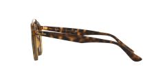 Rayban 0RB4256 60926G 46 Kadın Güneş Gözlüğü