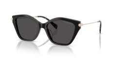 Michael Kors 2246U 395087 54 Kadin Günes Gözlügü