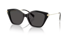 Michael Kors 2246U 395087 52 Kadin Günes Gözlügü