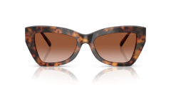 Michael Kors 2205 39043B 52 Kadin Günes Gözlügü