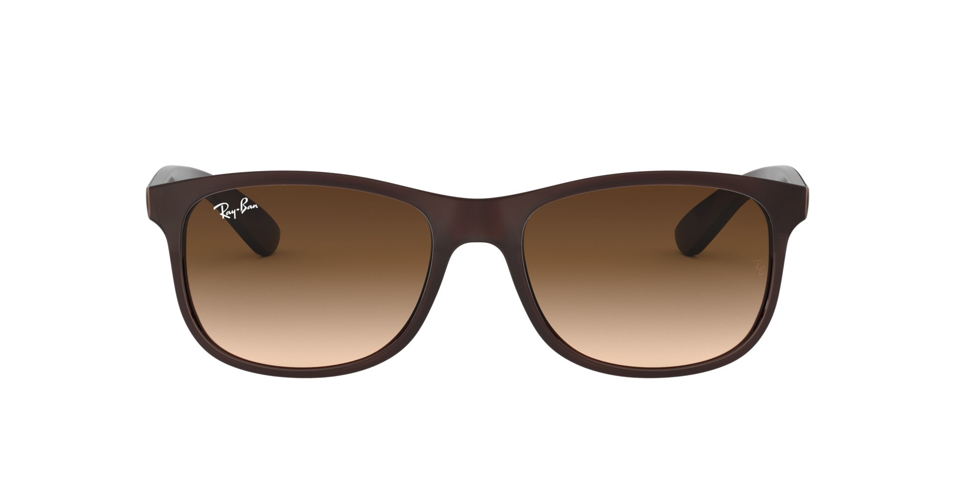 Rayban 0RB4202 607313 55 Erkek Güneş Gözlüğü