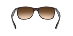 Rayban 0RB4202 607313 55 Erkek Güneş Gözlüğü