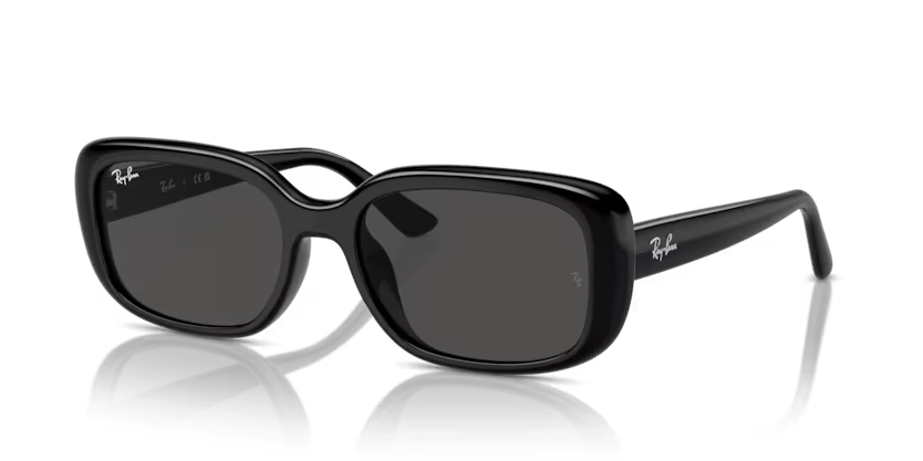 Rayban 0RB4421D 667787 56 Unisex Günes Gözlük