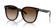 Rayban 0RB4423D 714/13 66 Unisex Günes Gözlük