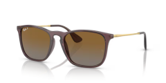 Rayban 4187 6593T5 54 Unisex Günes Gözlük