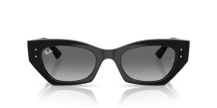 Rayban 4430 667711 49 Kadin Günes Gözlügü