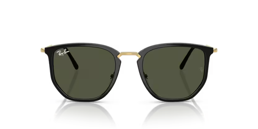 Rayban 4451 630631 50 Unisex Günes Gözlük
