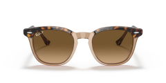 Rayban 2298 1292M2 52 Unisex Günes Gözlük