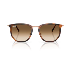 Rayban 4451 680451 50 Unisex Günes Gözlük