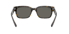 Rayban 0RB2190 1292B1 55 Erkek Güneş Gözlüğü
