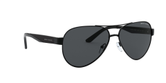 Armani Exchance 0AX2034S 600087 59 Erkek Güneş Gözlüğü