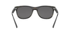 Armani Exchance 0AX4103S 8029Z3 56 Erkek Güneş Gözlüğü