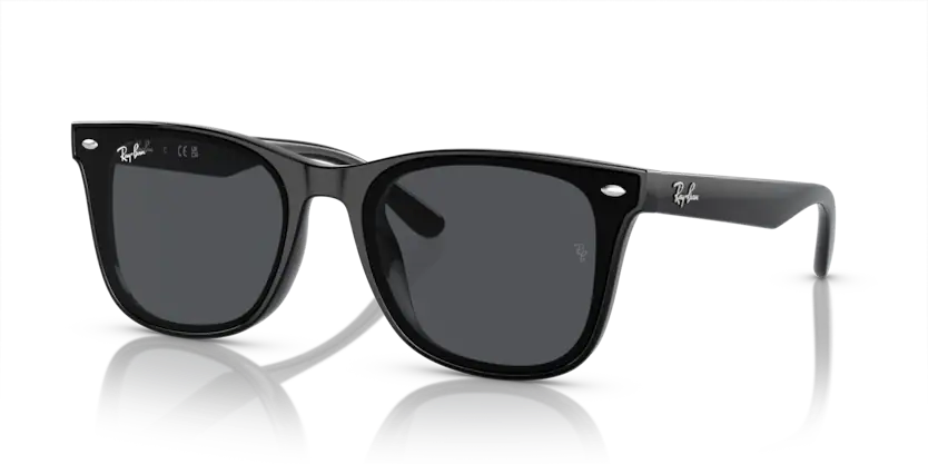 Rayban 0RB4420 601/87 65 Unisex Güneş Gözlük