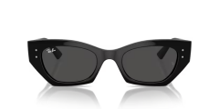 Rayban 0RB4430 667787 49 Unisex Günes Gözlük