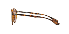 Rayban 0RB4237 894/Z2 50 Kadın Güneş Gözlüğü