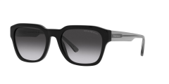 Emporio Armani 0EA4175 58758G 55 Erkek Günes Gözlügü