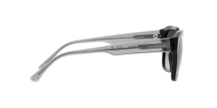 Emporio Armani 0EA4175 58758G 55 Erkek Günes Gözlügü