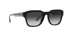 Emporio Armani 0EA4175 58758G 55 Erkek Günes Gözlügü