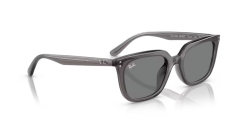 Rayban 4439 667587 54-145 Unisex Günes Gözlük