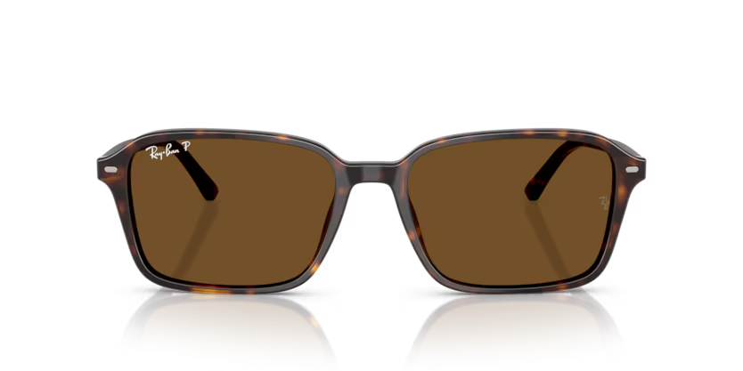 Rayban 0RB2231 902/57 56 Unisex Günes Gözlük