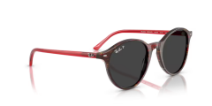 Rayban 0RB2230 141948 51 Unisex Günes Gözlük
