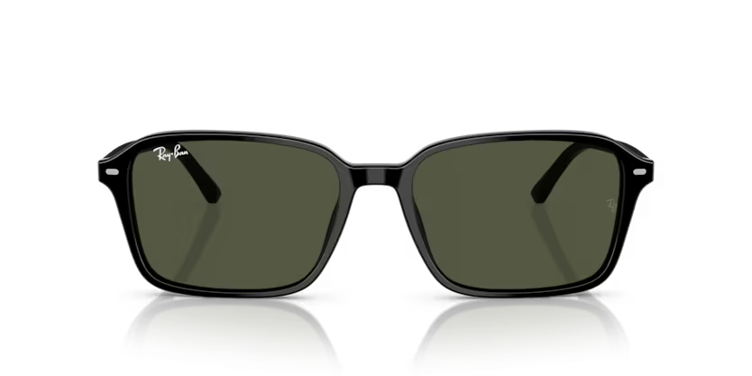 Rayban 0RB2231 901/31 58 Unisex Günes Gözlük