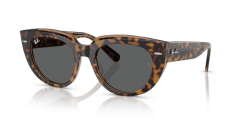 Rayban 0RB2286 1292B1 49 Kadin Günes Gözlügü
