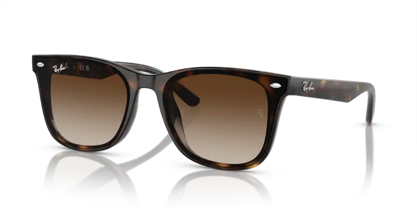 Rayban 0RB4420 710/13 65 Unisex Günes Gözlük