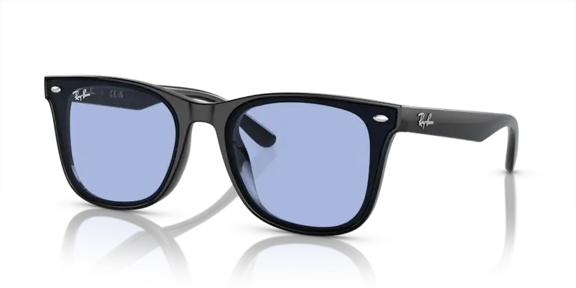 Rayban 0RB4420 601/80 65 Unisex Günes Gözlük