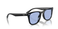 Rayban 0RB4420 601/80 65 Unisex Günes Gözlük